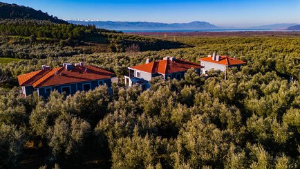 İznik Zeytin Villaları