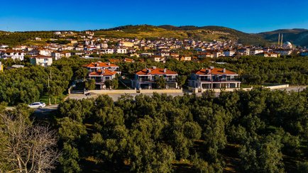 İznik Zeytin Villaları